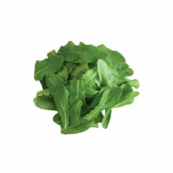 Deer Tongue -Johnny's Selected Seeds Shop 00423g 03 deertng