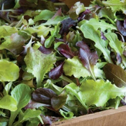 Allstar Gourmet Lettuce Mix