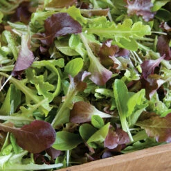 Encore Lettuce Mix