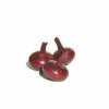 Red Marble -Johnny's Selected Seeds Shop 02717g 01 redmarble