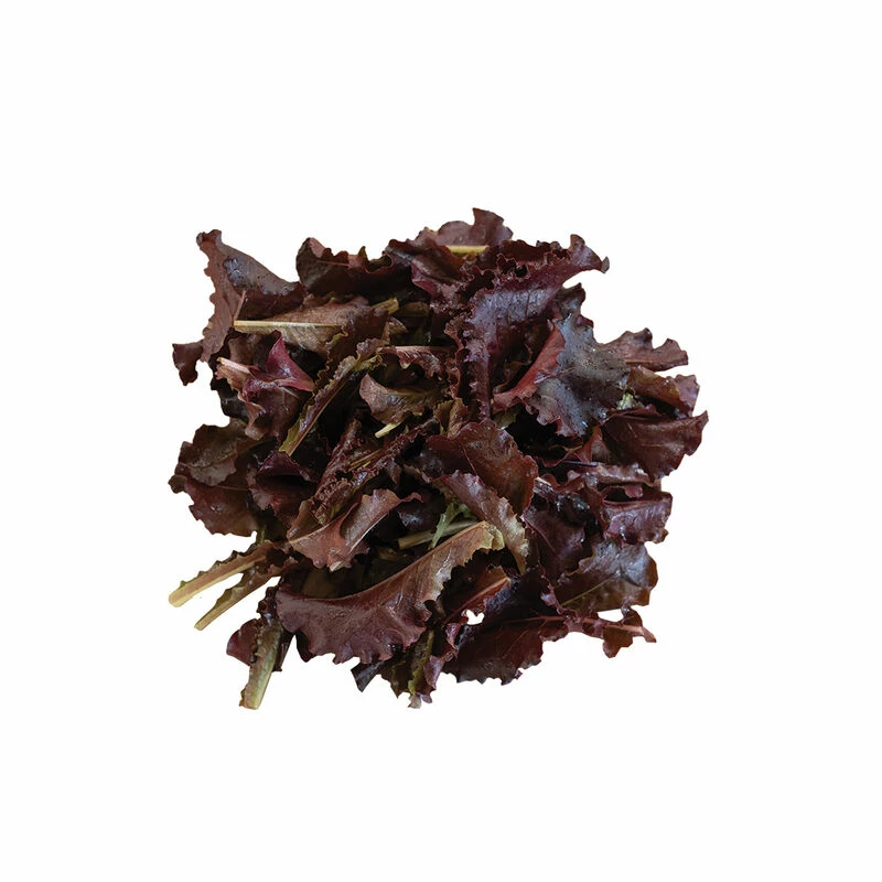 Annapolis 4 Annapolis - Image 2