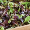 Wildfire Lettuce Mix -Johnny's Selected Seeds Shop 02850 01 wildfiremixhorz