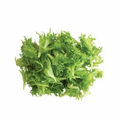 Coastline -Johnny's Selected Seeds Shop 03268g 03 coastline