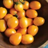 Sunrise Sauce -Johnny's Selected Seeds Shop 03376 01 sunrise sauce