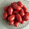 San Marzano II -Johnny's Selected Seeds Shop 03405g 01 san marzano