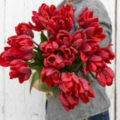 Rococo -Johnny's Selected Seeds Shop 03497 03 rococo