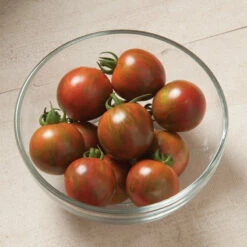 Purple Bumble Bee -Johnny's Selected Seeds Shop 03521g 02 purplebumble