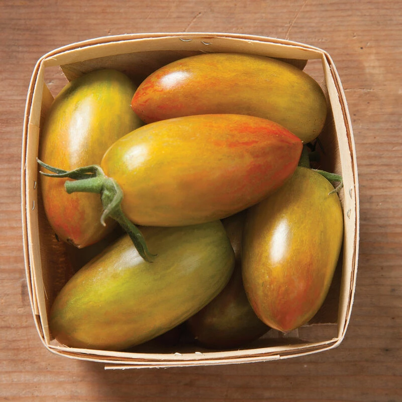 Lucky Tiger 3 Lucky Tiger