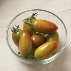 Lucky Tiger 6 Lucky Tiger -Johnny's Selected Seeds Shop 03857g 02 luckytiger