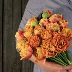 Sensual Touch -Johnny's Selected Seeds Shop 04058 04 sensual touch