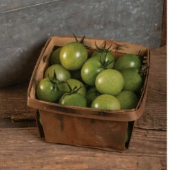 Sungreen 4029 -Johnny's Selected Seeds Shop 04132 01 sungreen