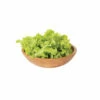 Green Saladbowl -Johnny's Selected Seeds Shop 0426N 03 green saladbowl