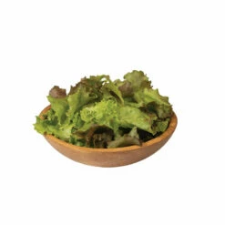 Red Sails -Johnny's Selected Seeds Shop 0431g 04 redsails