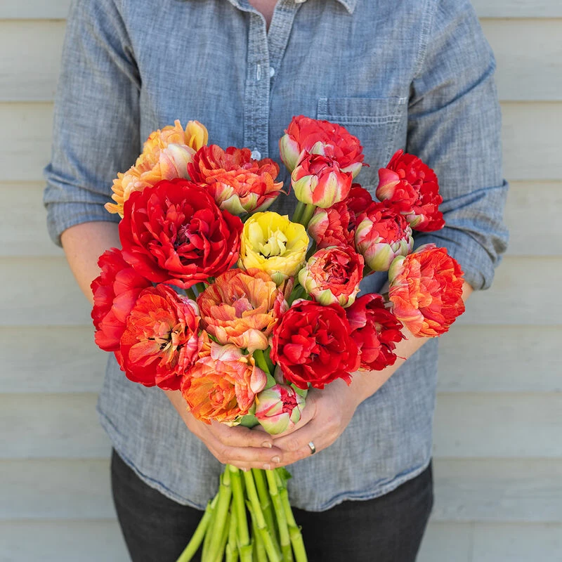 Gudoshnik Double 3 Gudoshnik Double