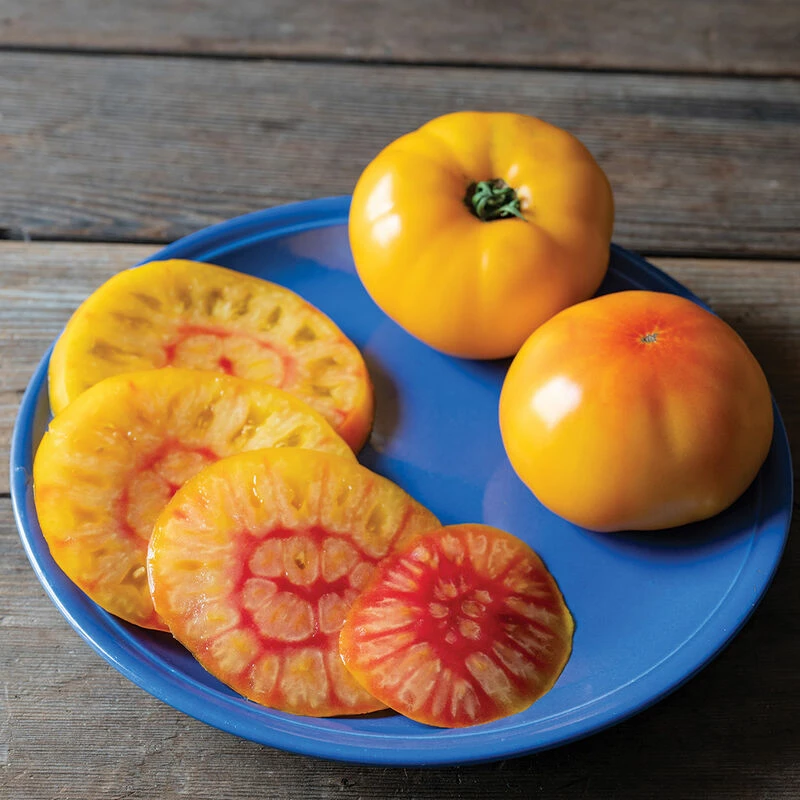 Harvest Moon 3 Harvest Moon