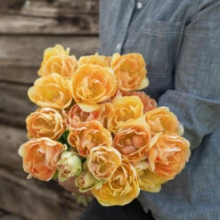 Charming Beauty -Johnny's Selected Seeds Shop 04561 03 charming beauty