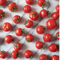 Mochi -Johnny's Selected Seeds Shop 04750 03 mochi