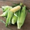 Inspiration -Johnny's Selected Seeds Shop 04766r 01 inspiration corn