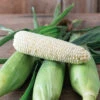 Eden RMN -Johnny's Selected Seeds Shop 05090 01 eden sweet corn
