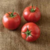 PinkID -Johnny's Selected Seeds Shop 05846 01 pinkid tomato
