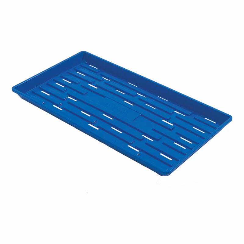 Polypro Shallow Tray (With Holes), Blue – 4 Count 3 Polypro Shallow Tray (With Holes), Blue – 4 Count