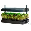 SunBlaster Growlight Garden -Johnny's Selected Seeds Shop 06743 01 growlight garden