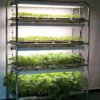 Full-Size Seedling Light Cart – 16 Trays, 640 Watts -Johnny's Selected Seeds Shop 07026 02 16trayseedlinglightcart 2