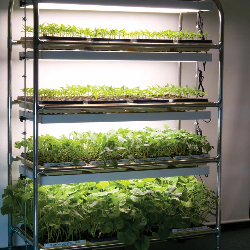 Full-Size Seedling Light Cart – 12 Trays, 384 Watts 3 Full-Size Seedling Light Cart – 12 Trays, 384 Watts