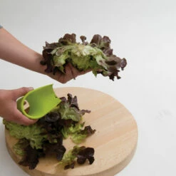 Salanova® Cutter -Johnny's Selected Seeds Shop 07136 03 salanovacutter