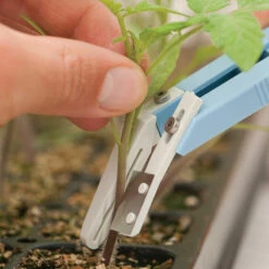 Miter-Cut Grafting Knife -Johnny's Selected Seeds Shop 07172 04 mitercutgrft knife