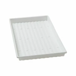 Lightweight Shallow Trays – 36 Count