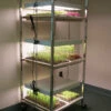 Compact Seedling Light Cart – 6 Trays, 120 Watts -Johnny's Selected Seeds Shop 07296 01 compactsdlng light cart