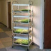 Compact Seedling Light Cart – 8 Trays, 160 Watts 2 Compact Seedling Light Cart – 8 Trays, 160 Watts -Johnny's Selected Seeds Shop 07299 01 compactseedlinglightcart 1