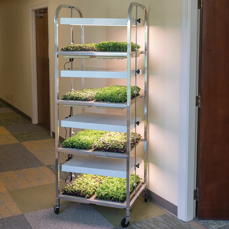 Compact Seedling Light Cart – 8 Trays, 320 Watts 3 Compact Seedling Light Cart – 8 Trays, 320 Watts