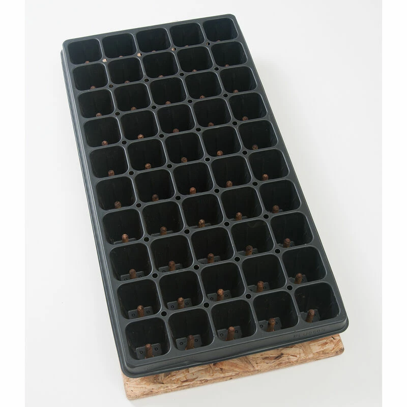 50 Cell Plug Popper 4 50 Cell Plug Popper - Image 2