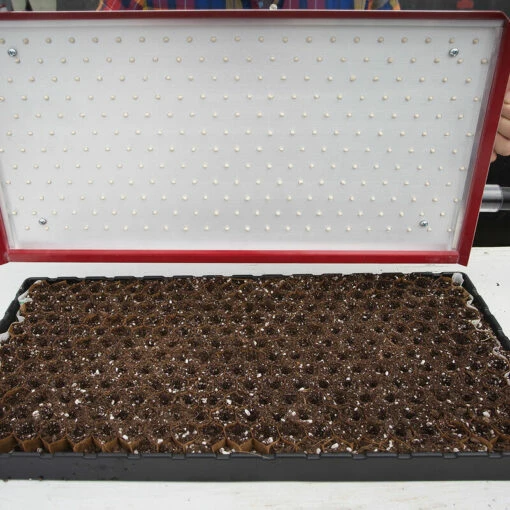 Seed Plate A264 -Johnny's Selected Seeds Shop 07657 01 a264