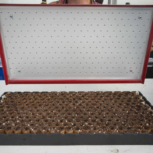 Seed Plate D264 -Johnny's Selected Seeds Shop 07660 01 d264