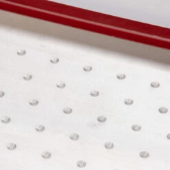 Seed Plate G264 -Johnny's Selected Seeds Shop 07691 02 paperpot plate g264