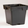 Jumbo Square Plastic Pots – 200 Count