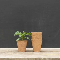 3 1/8" Round Fertil Pots – 90 Count