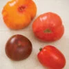 Heirloom Tomato Collection -Johnny's Selected Seeds Shop 3229g 01 heirloomtomatocollection